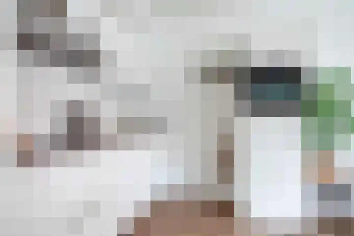 Meulmansweg 10 B Woerden thumbnail 9