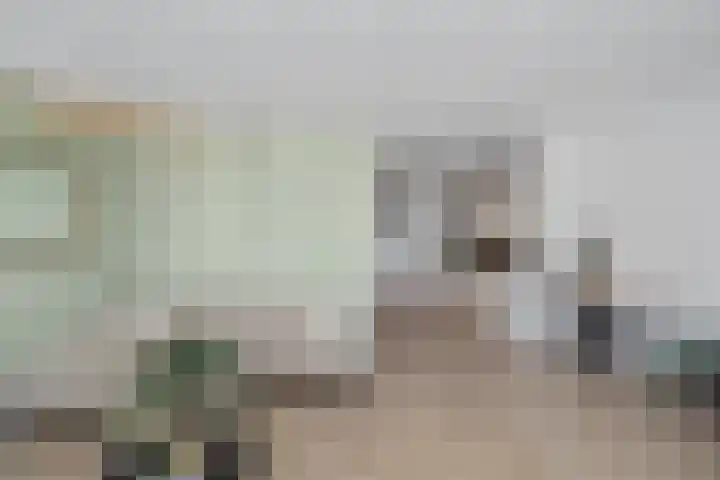 Meulmansweg 25 A Woerden thumbnail 19