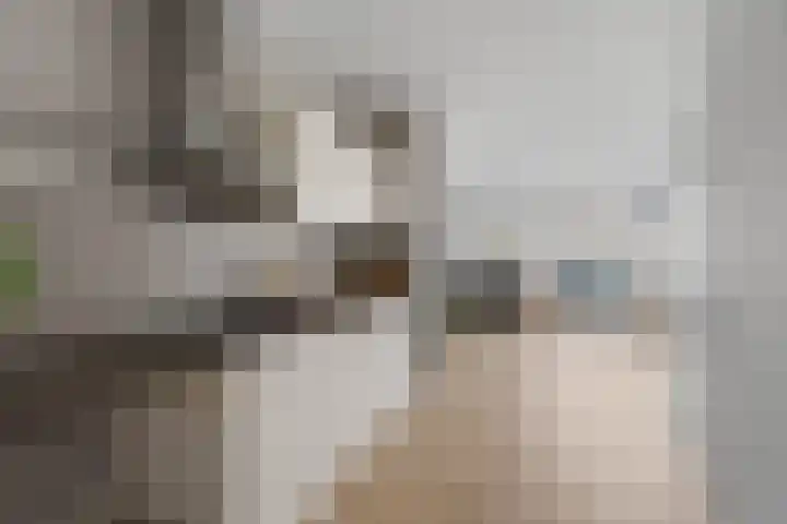 Meulmansweg 25 A Woerden thumbnail 8