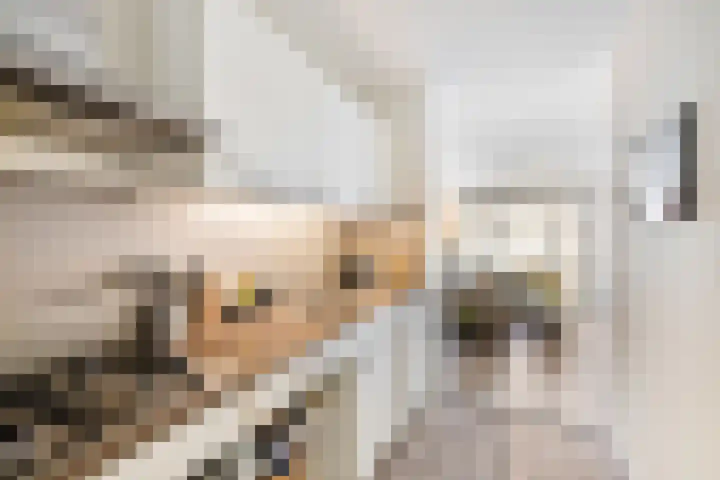 Meulmansweg 25 D Woerden thumbnail 12