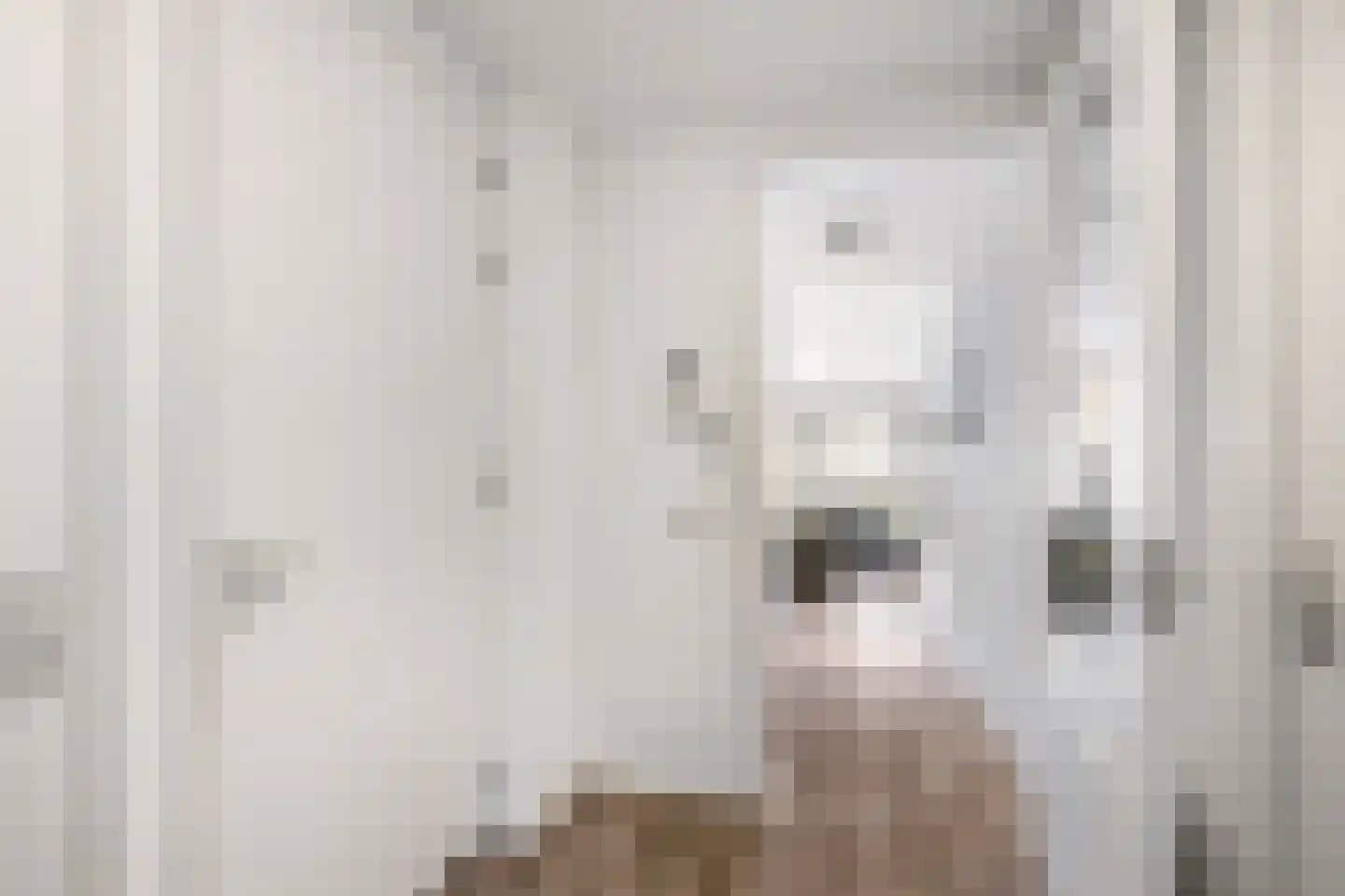 Meulmansweg 25 G Woerden thumbnail 6