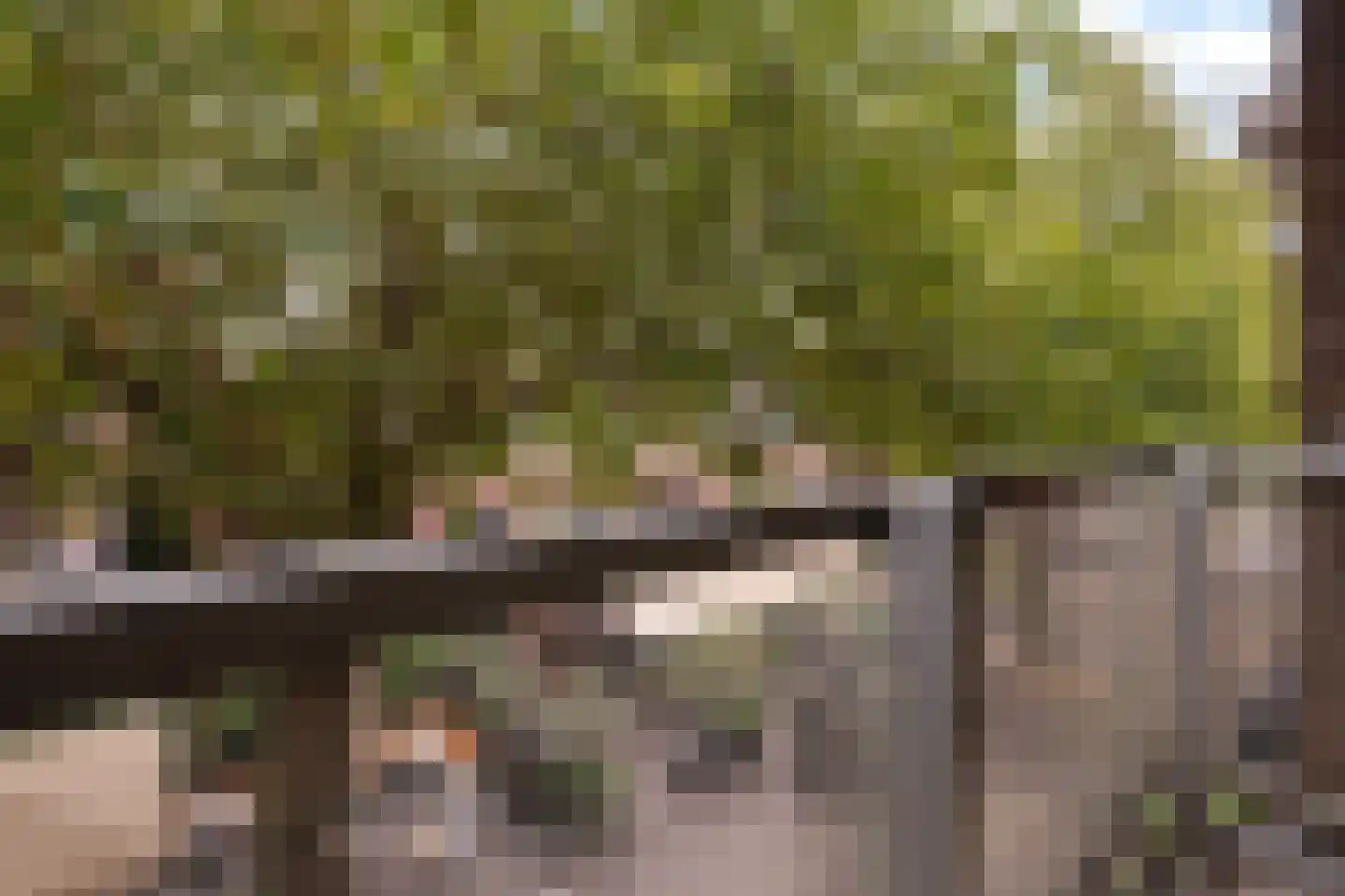 Meulmansweg 33 A Woerden thumbnail 18