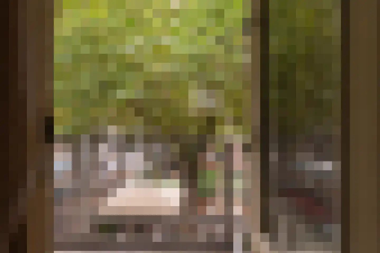 Meulmansweg 33 A Woerden thumbnail 20