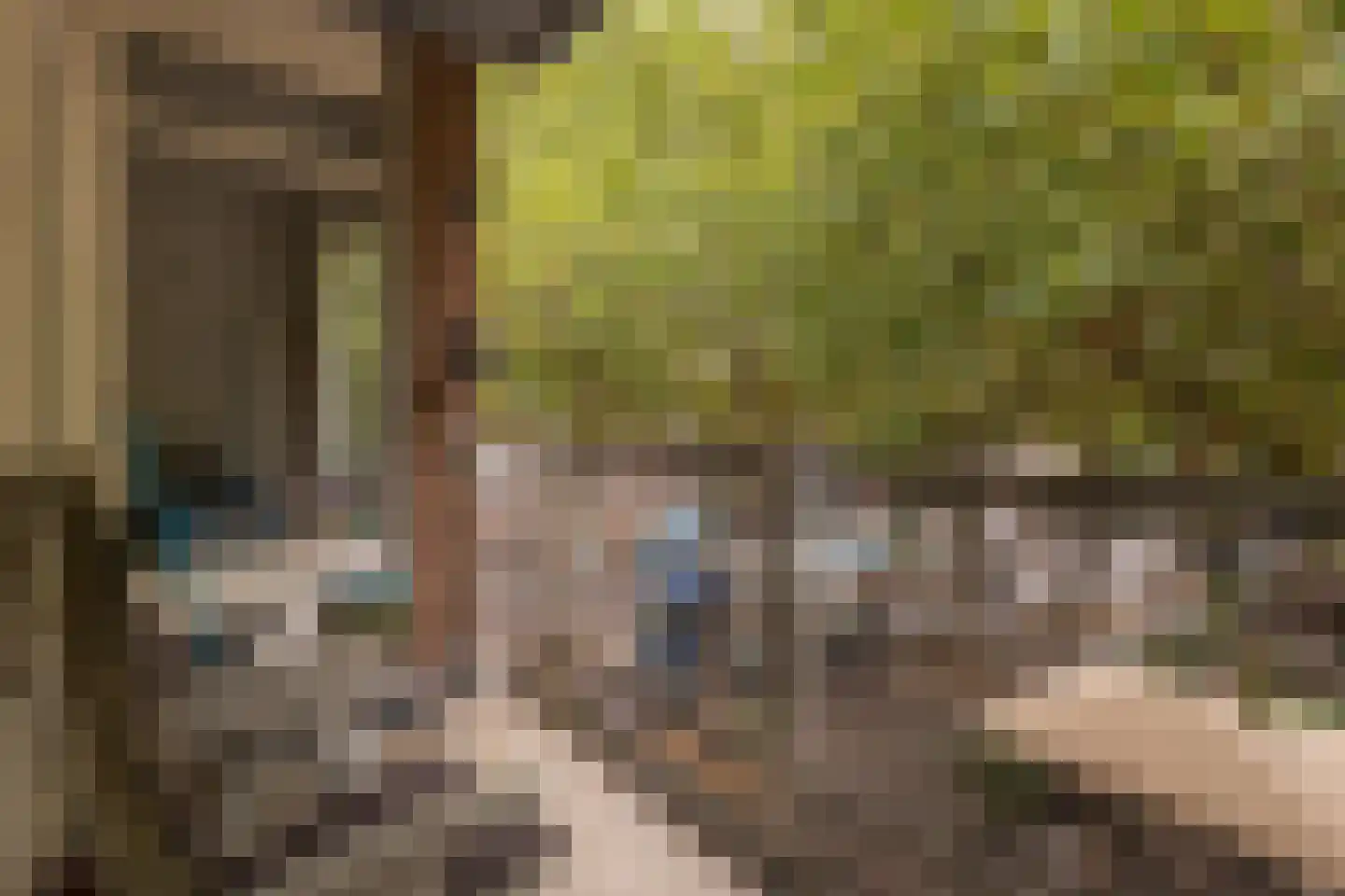 Meulmansweg 33 C Woerden thumbnail 17