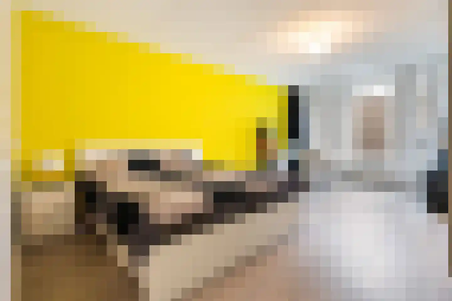 Meulmansweg 33 C Woerden thumbnail 22