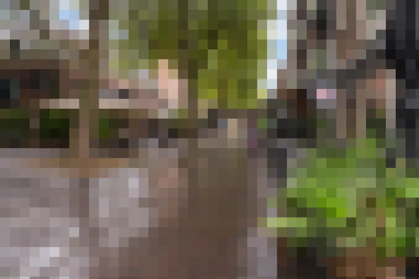 Meulmansweg 33 C Woerden thumbnail 31