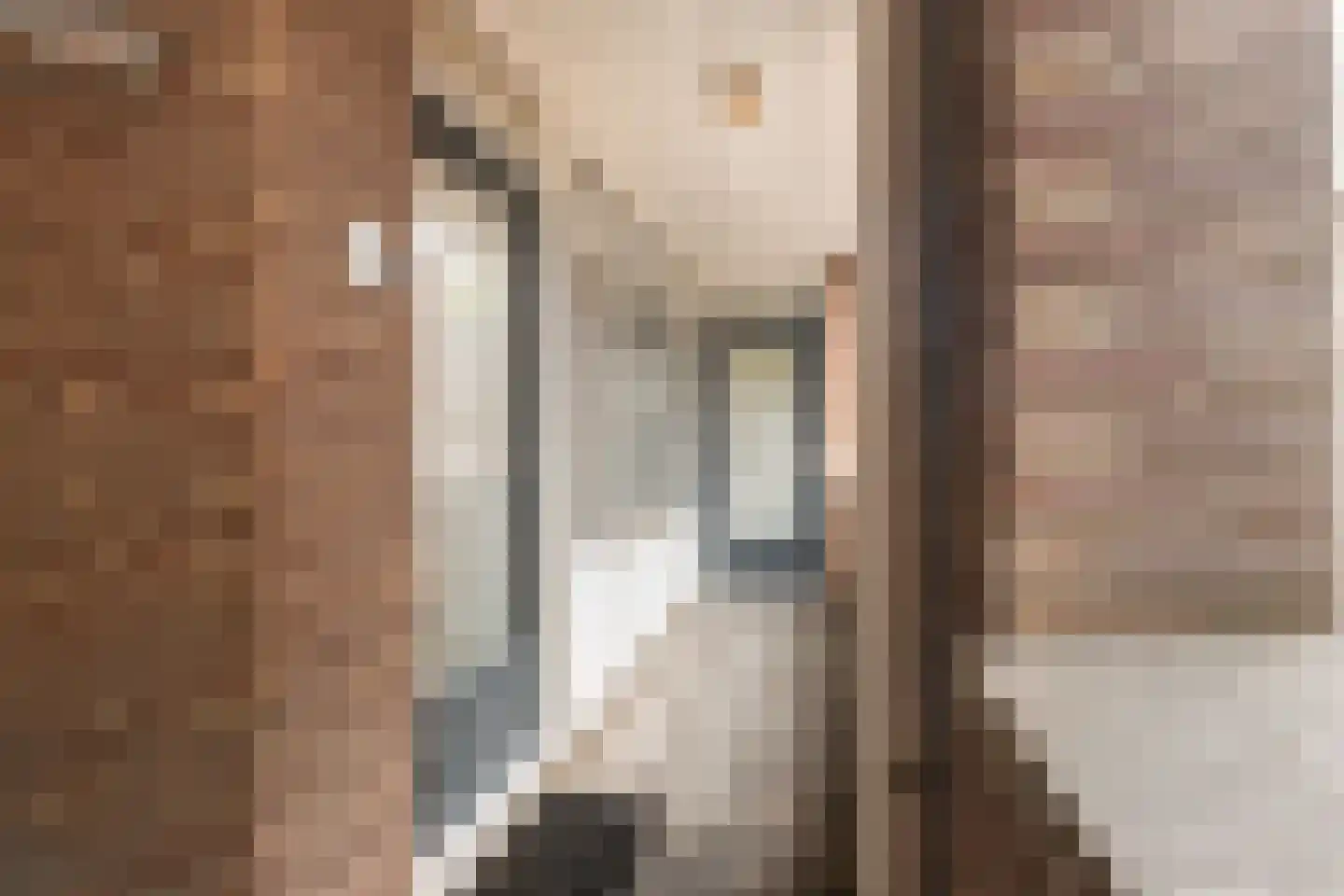 Meulmansweg 33 C Woerden thumbnail 5