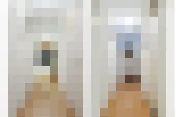 Meulmansweg 8 H Woerden thumbnail 12