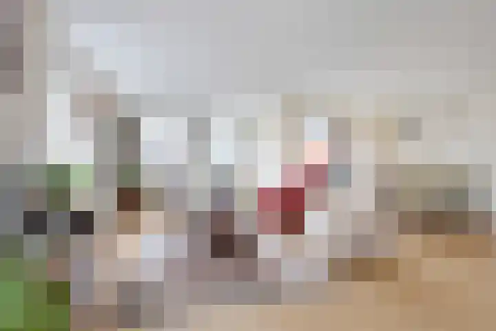 Meulmansweg 8 H Woerden thumbnail 13
