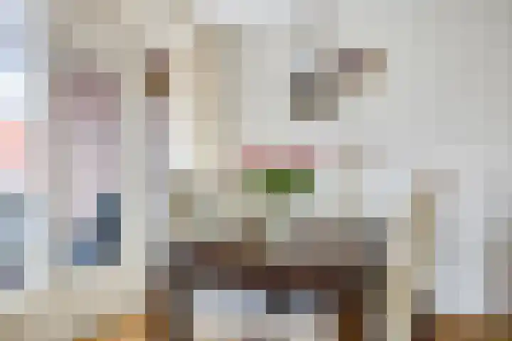 Meulmansweg 8 H Woerden thumbnail 18