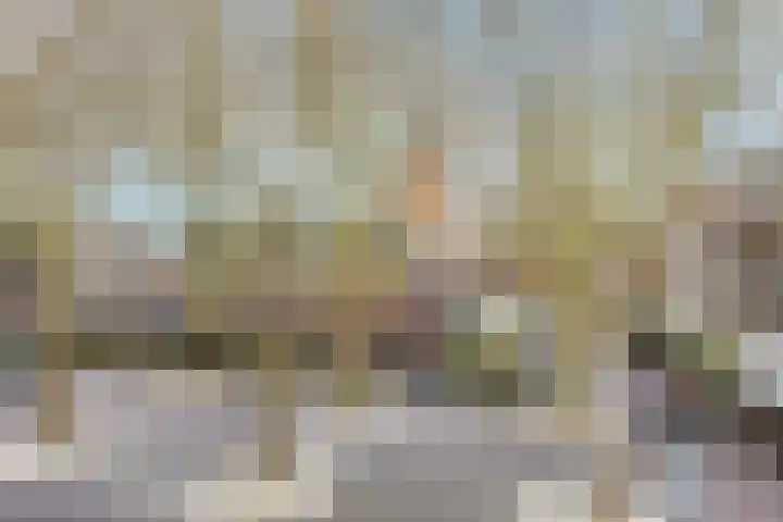 Meulmansweg 8 H Woerden thumbnail 32