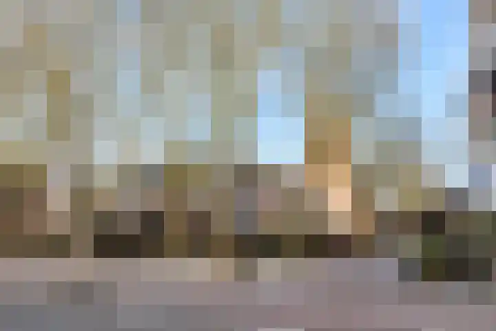 Meulmansweg 8 H Woerden thumbnail 7