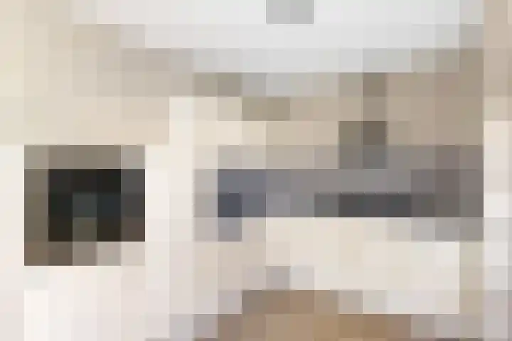 Meulpad 14 Koudekerke thumbnail 10