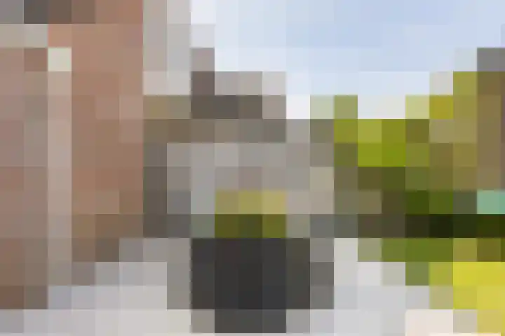 Meulpad 14 Koudekerke thumbnail 13