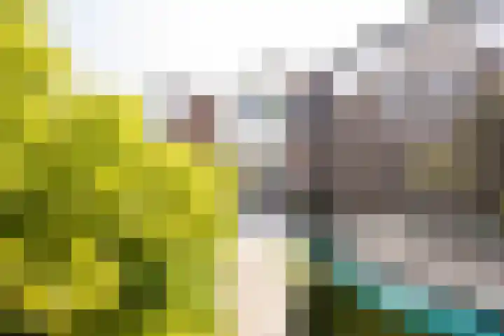 Meulpad 14 Koudekerke thumbnail 15