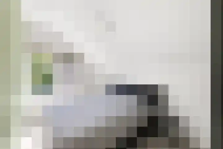 Meulpad 14 Koudekerke thumbnail 16