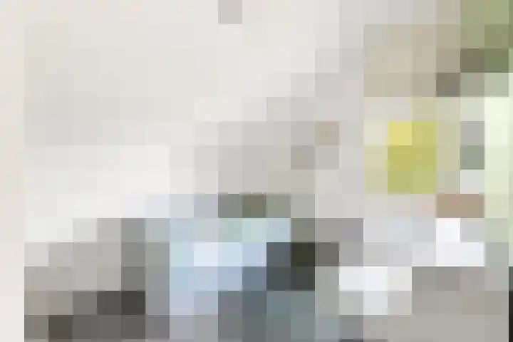 Meulpad 14 Koudekerke thumbnail 18