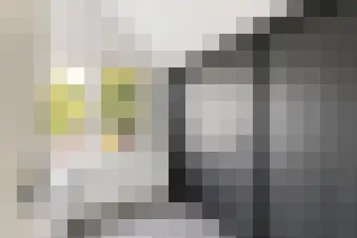 Meulpad 14 Koudekerke thumbnail 19