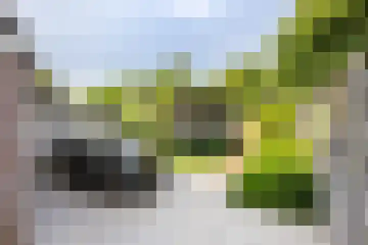 Meulpad 14 Koudekerke thumbnail 4