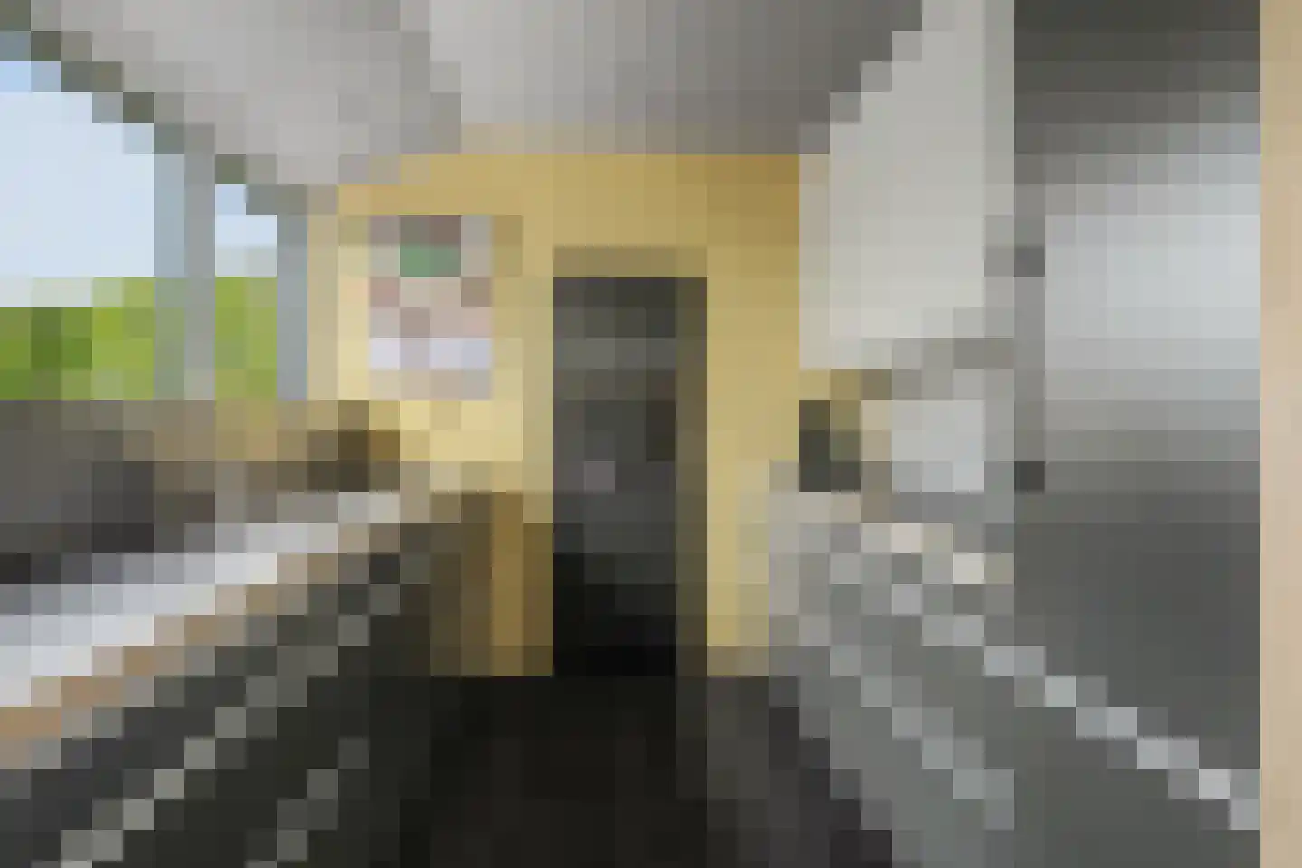 Meulpad 22 Koudekerke thumbnail 16