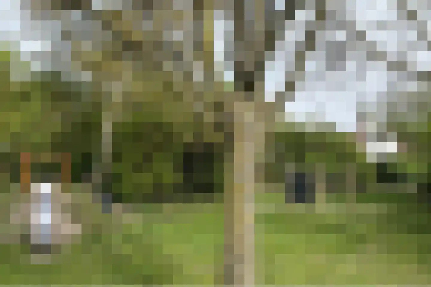 Meulpad 22 Koudekerke thumbnail 36