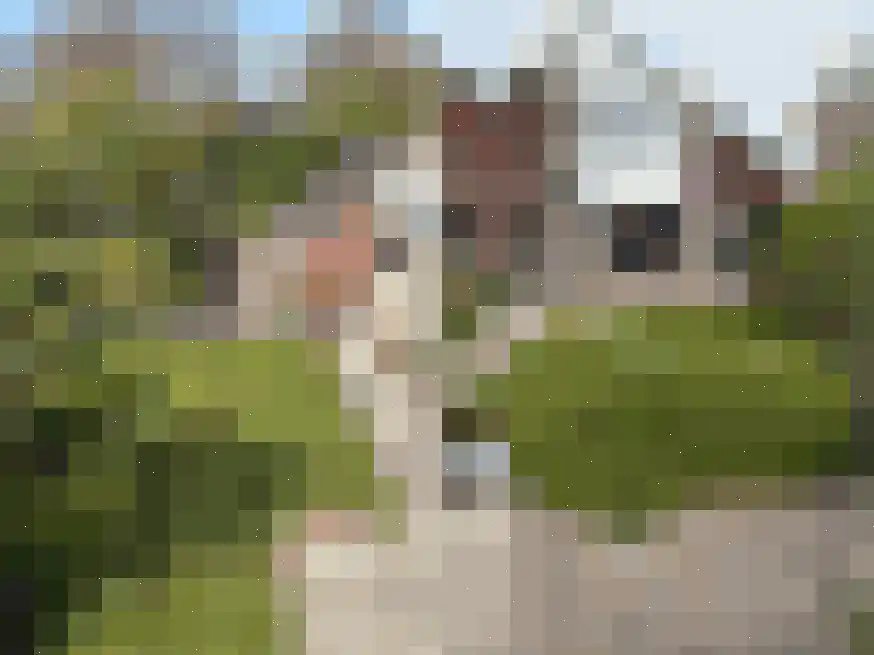Meulpad 22 Koudekerke thumbnail 39