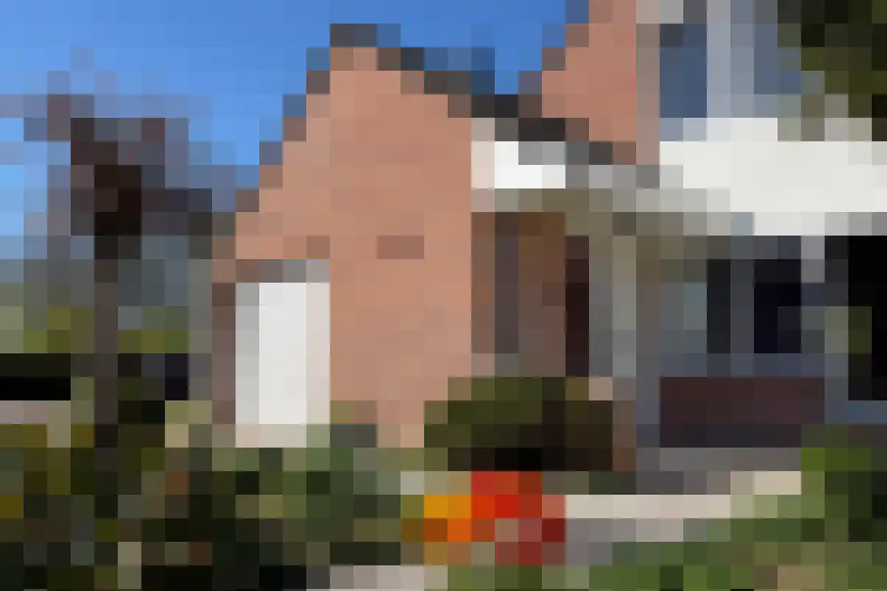 Meulpad 22 Koudekerke thumbnail 4