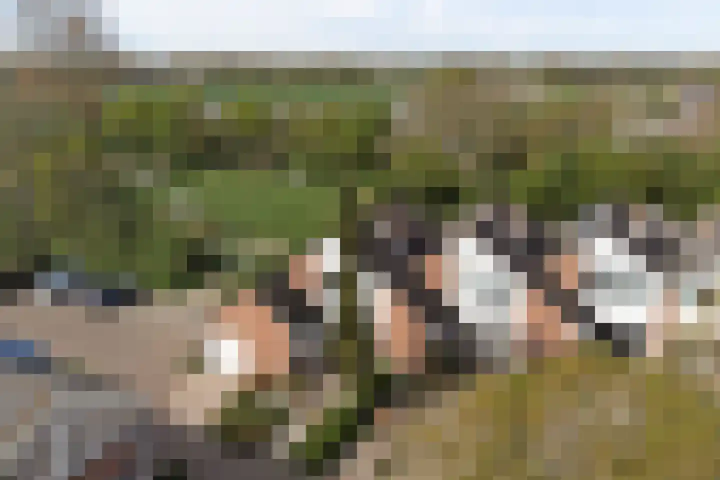Meulpad 22 Koudekerke thumbnail 41