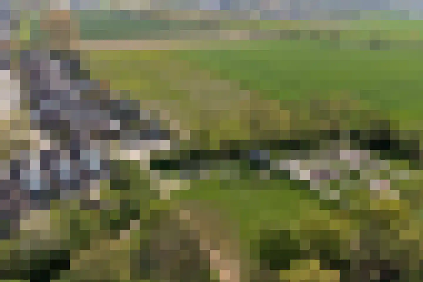 Meulpad 22 Koudekerke thumbnail 45