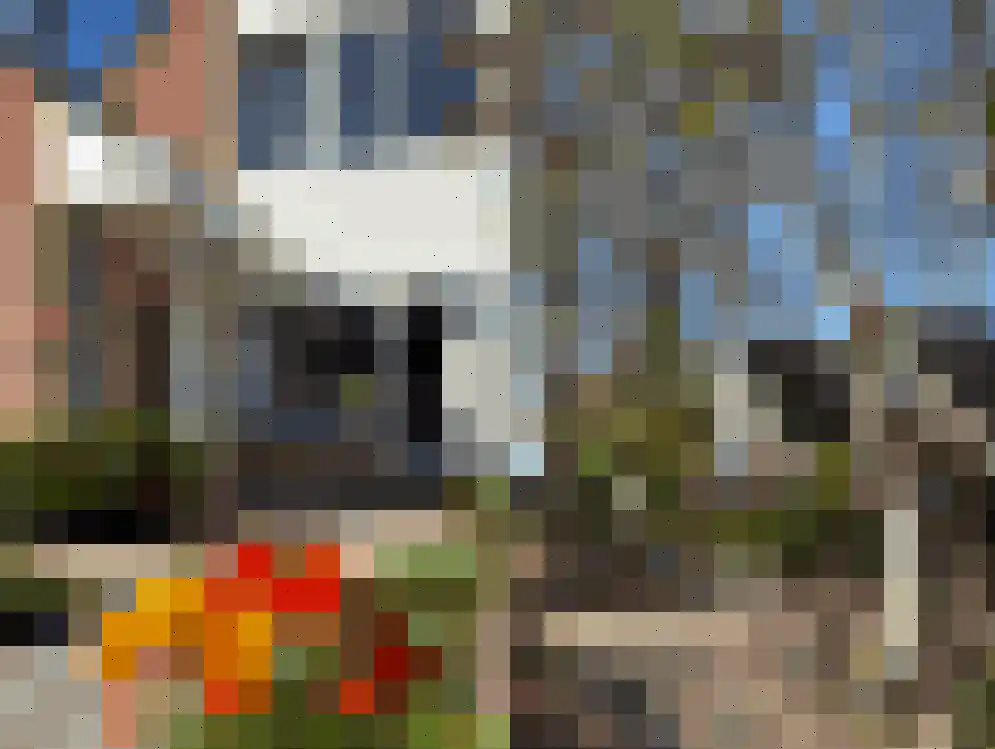 Meulpad 22 Koudekerke thumbnail 5