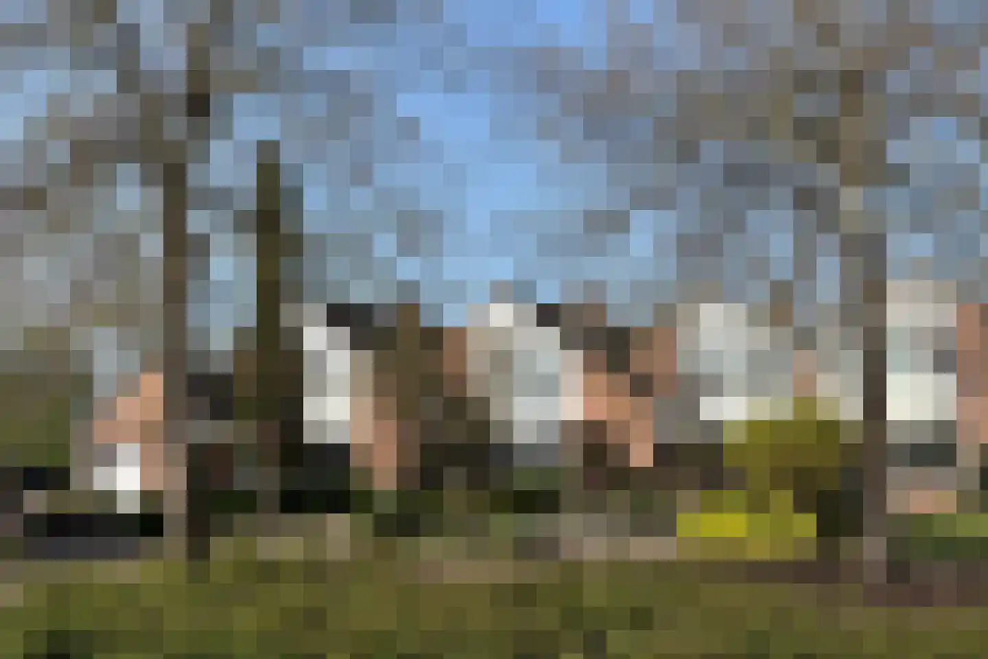 Meulpad 22 Koudekerke thumbnail 7