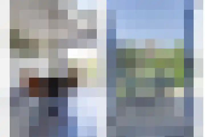 Meulpad 41 Koudekerke thumbnail 17