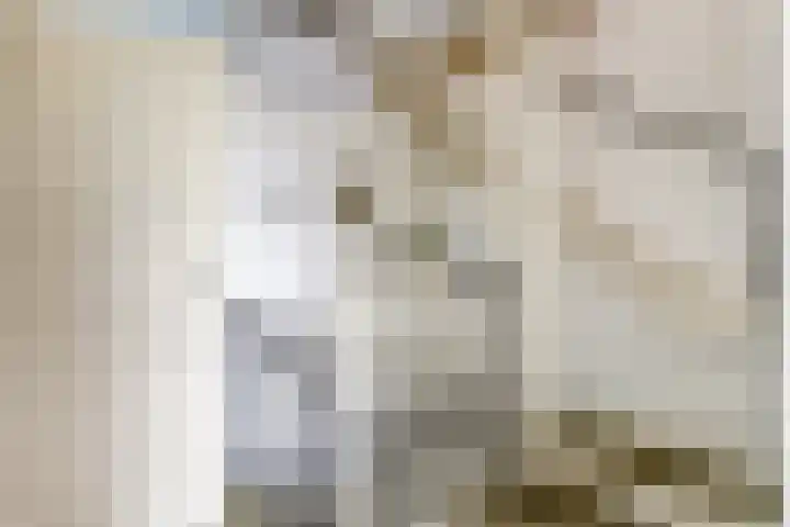 Meulpad 41 Koudekerke thumbnail 18