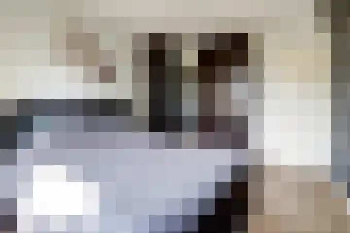 Meulpad 41 Koudekerke thumbnail 19