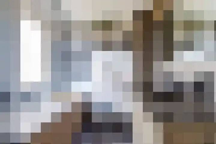 Meulpad 41 Koudekerke thumbnail 21