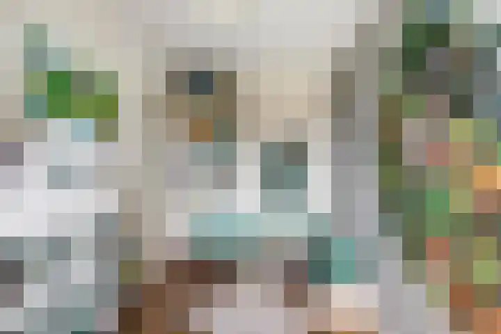 Meulpad 41 Koudekerke thumbnail 26