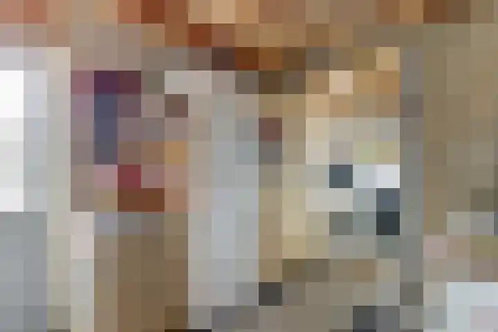 Meulpad 41 Koudekerke thumbnail 31