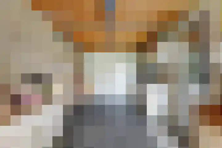 Meulpad 41 Koudekerke thumbnail 32