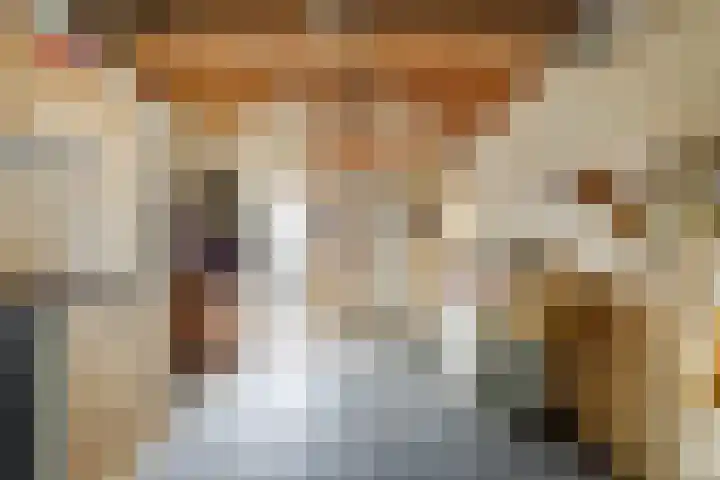 Meulpad 41 Koudekerke thumbnail 33