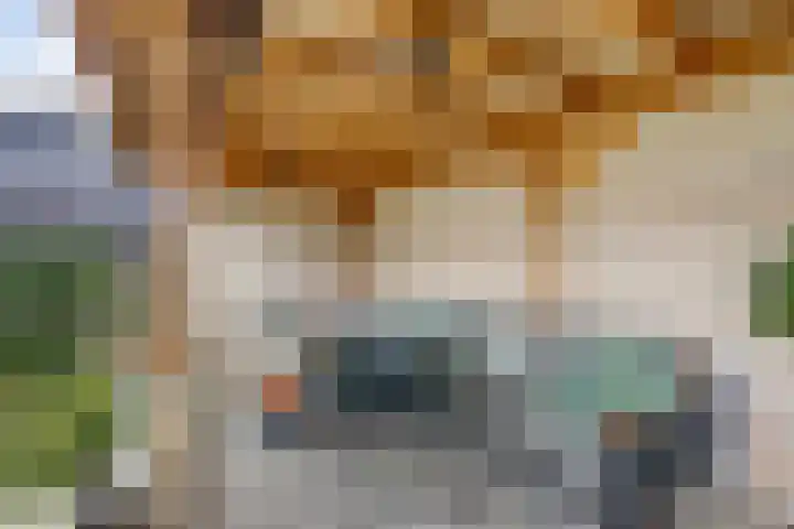 Meulpad 41 Koudekerke thumbnail 37