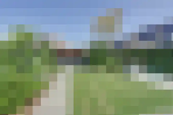 Meulpad 41 Koudekerke thumbnail 38