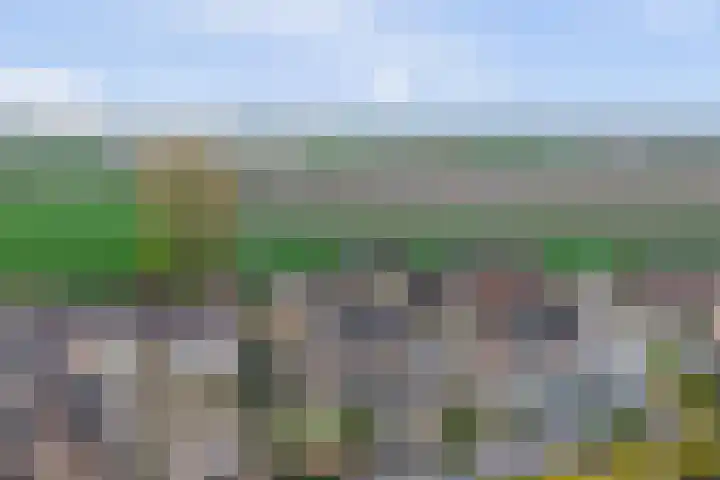 Meulpad 41 Koudekerke thumbnail 4