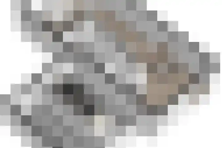 Meulpad 41 Koudekerke thumbnail 50