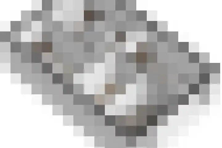 Meulpad 41 Koudekerke thumbnail 52