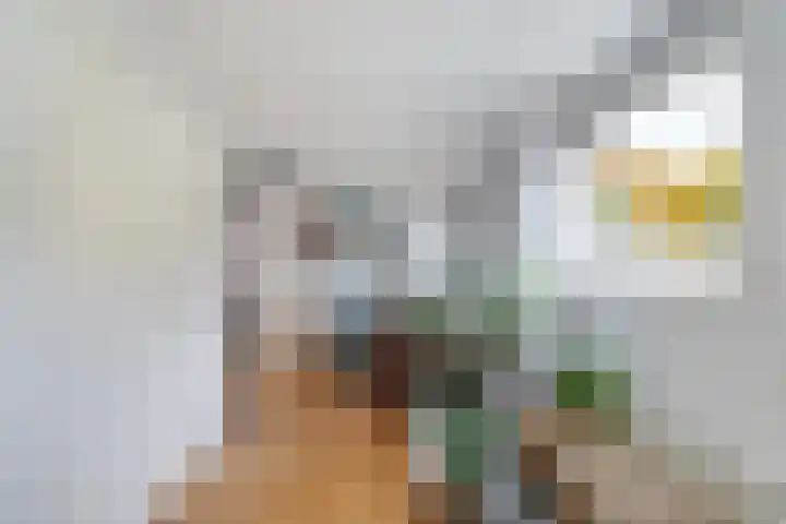Meulpad 5 Koudekerke thumbnail 12