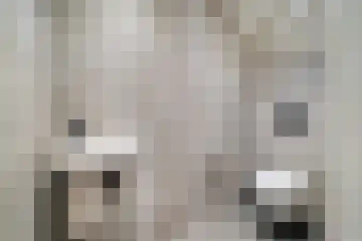 Meulpad 5 Koudekerke thumbnail 16