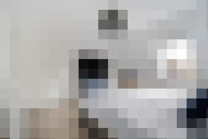 Meulpad 5 Koudekerke thumbnail 19