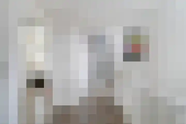 Meulpad 5 Koudekerke thumbnail 20
