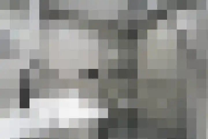 Meulpad 5 Koudekerke thumbnail 25
