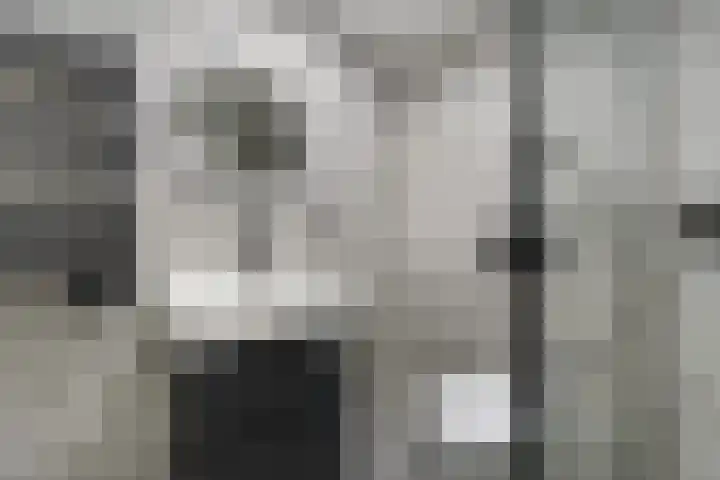 Meulpad 5 Koudekerke thumbnail 26